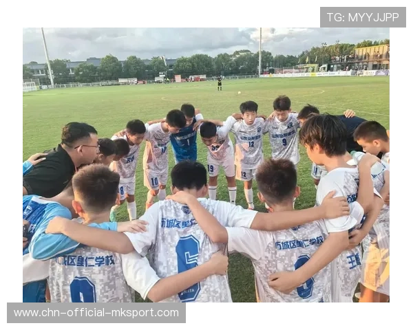 未来的冠军：逆转胜利的队伍！，未来冠军学校 适合什么水平