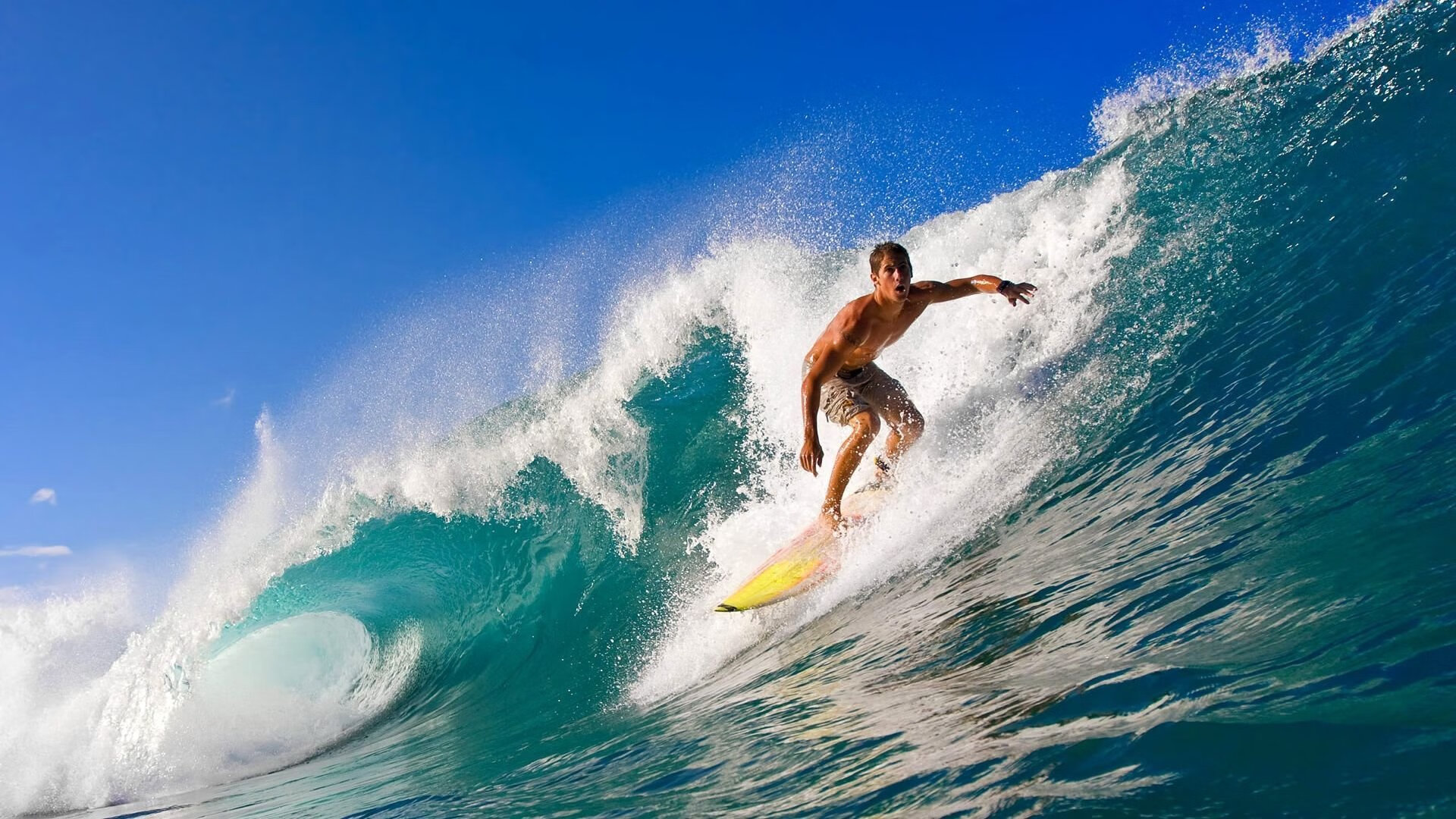 校园场馆智能调度，谈谈智能场馆如何实现信息化的